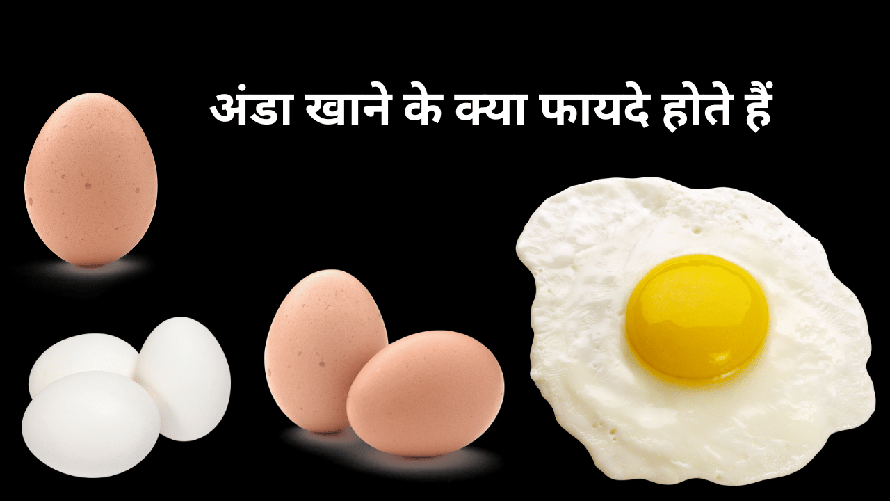 अंडा खाने के क्या फायदे होते हैं