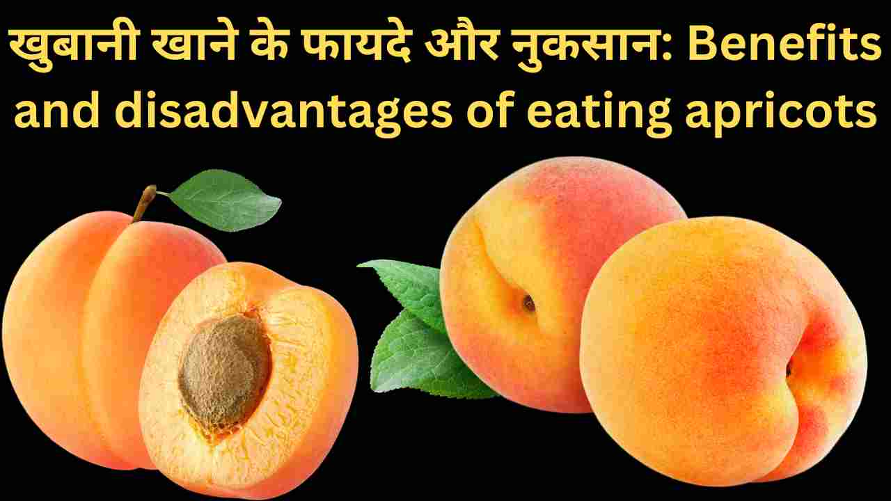 खुबानी खाने के फायदे और नुकसान: Benefits and disadvantages of  eating apricots